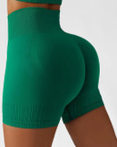شورتک ورزشی زنانه مدل سیملس پشت چین دار کمرگنی کد 0616
